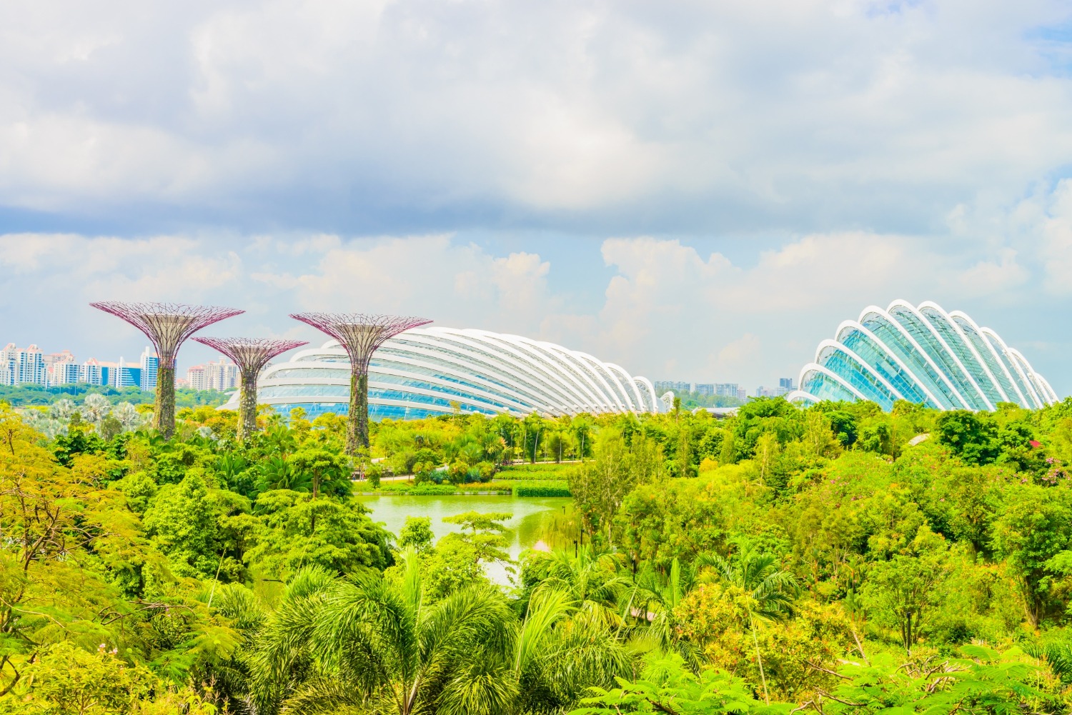 Feng Shui Consultant Singapore 3 Flower Dome and Cloud Forest Singapor